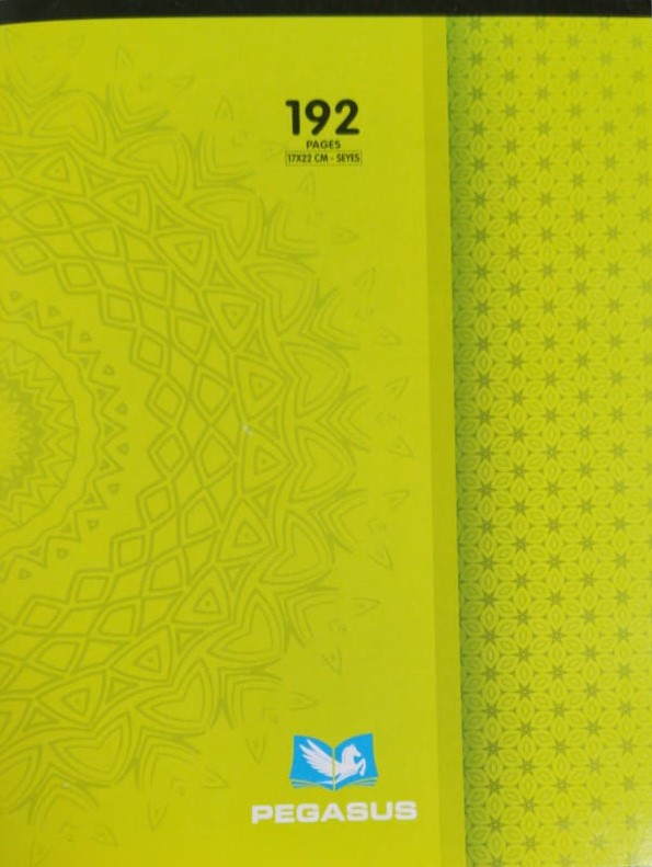 Cahier pique 192 P 17*11 seyes Pegasus