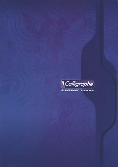 Cahier Piqué Simple 5x5 21x29.7 96P 70G