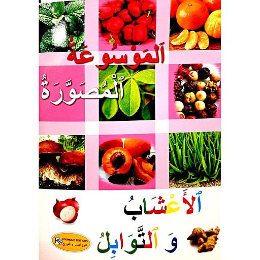 الموسوعة المصورة الأعشاب والتوابل كارتوني