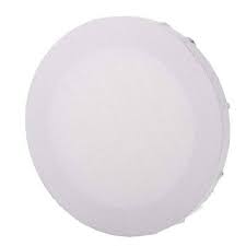 Toile Phoenix  - Panneau - Ovale - 14 x 18