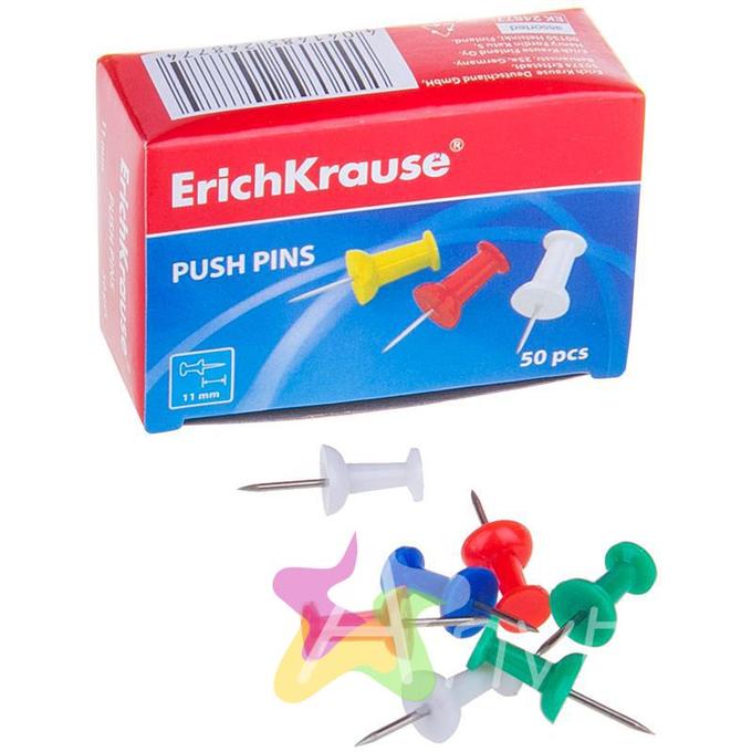 Boite de Punaise 50 PCS