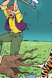 Le tigre et le chat