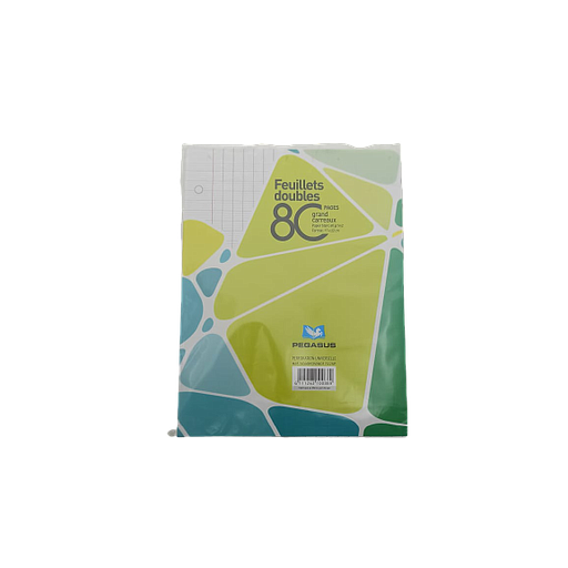 Copies Doubles Perforées Vert Séyès 17 x 22 96P 60G