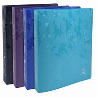 Classeur 2 Anneaux PP