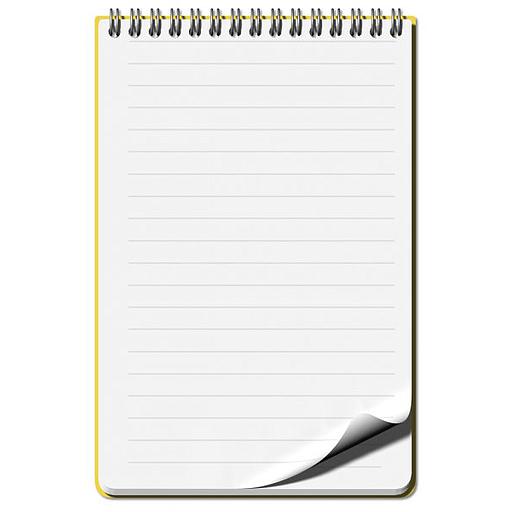 Bloc Steno Raye 160 pages A4