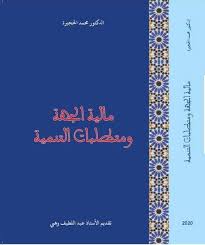 مالية الجهة ومتطلبات التنمية