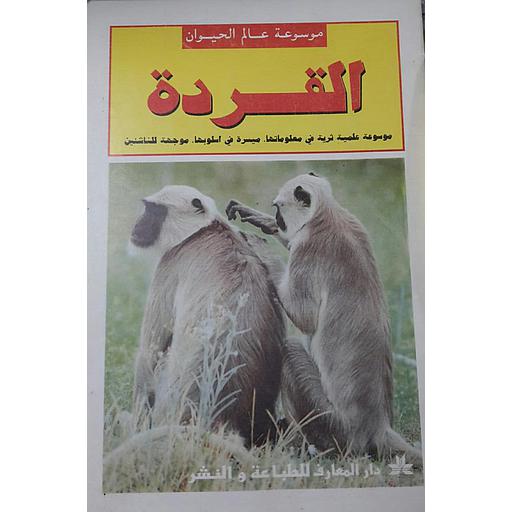 القردة