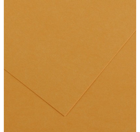 Papier Colorline 150g/m² grain fin 50 x 65cm - 32 - Cuir