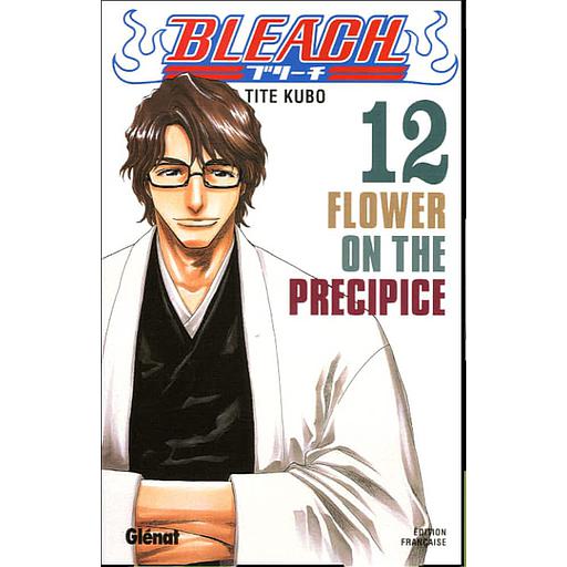 Bleach Tome 12 - Flower on the Precipice