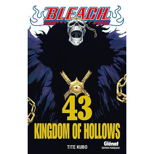 Bleach Tome 43 - Kingdom of hollows