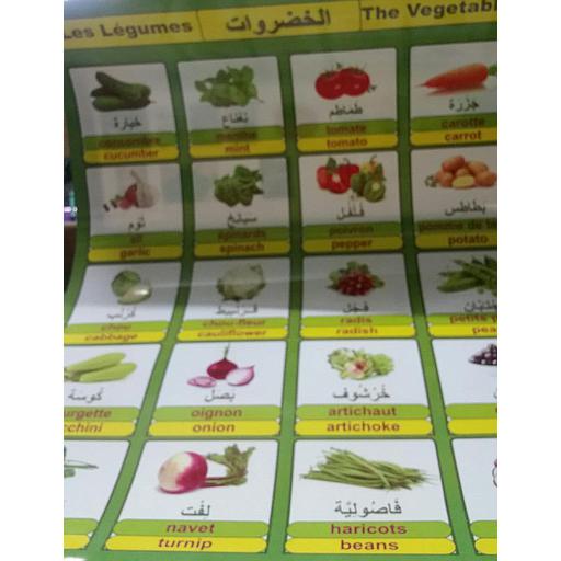 صويرات تعليمية الخضروات عربي / فرنسي / انجليزي متوسطة