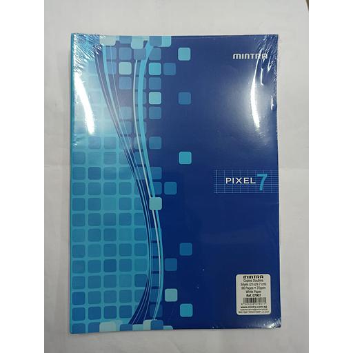 Feuilles doubles 21x29.7 96P