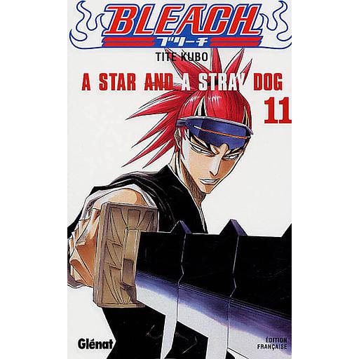 Bleach Tome 11 - A Star and a Stray Dog