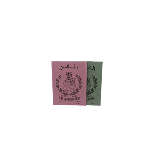 Cahier Piqué Séyès 17 x 22 96 P 60G