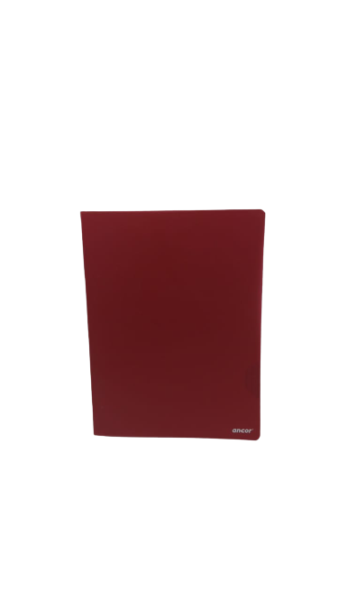 Cahier Piqué Simple Séyès Polypro 24x32 96P 90G