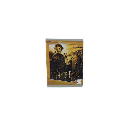 Cahier Piqué Séyès 17 x 22  96 P  60G