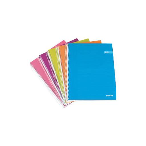 Registre Spiral 5*5 A4 240 P 70G Rèf 40050