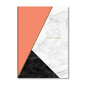 Bloc Note MERMER Surligné 192P 17x24