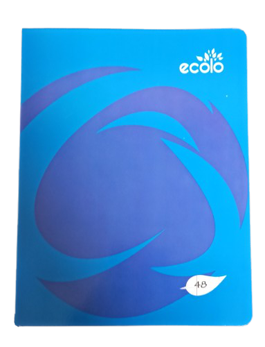 Cahier Pique 48p17*22 Seyes