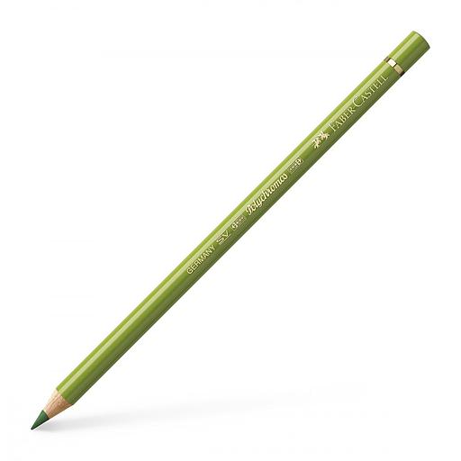 Crayon de couleur Polychromos - n°168 - terre verte jaunâtre