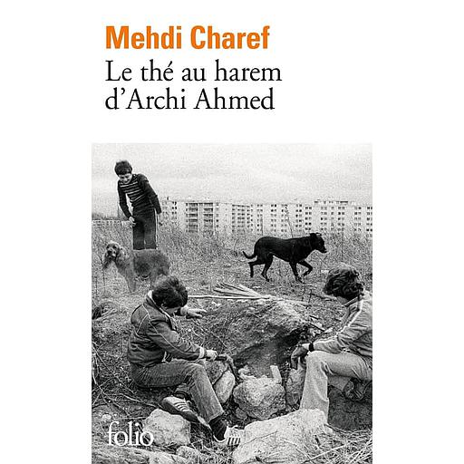 Le thé au harem d'Archi Ahmed