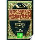 شرح شواهد ابن عقيل على ألفية ابن مالك