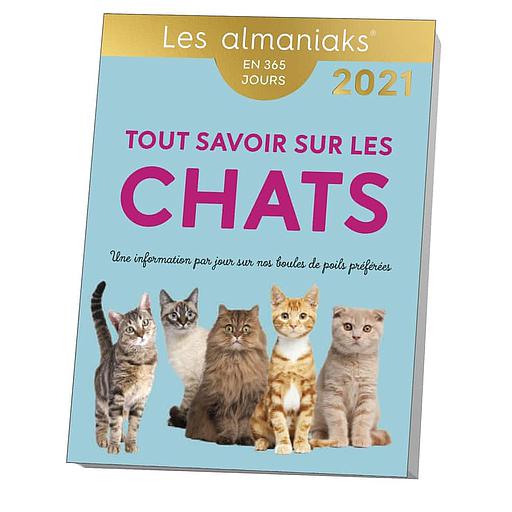 Tout savoir sur les chats