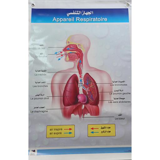 بوستر باش الجهاز التنفسي