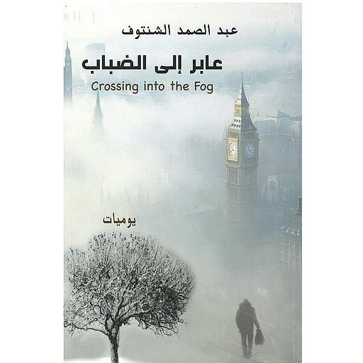 عابر إلى الضباب