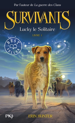 Survivants Tome 1 - Lucky le solitaire