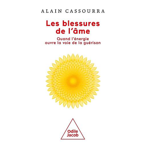 Les blessures de l'âme  - Quand l'énergie ouvre la voie de la guérison