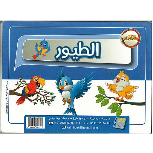 الطيور