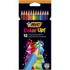 Crayon de Couleur 12 Intensity BIC