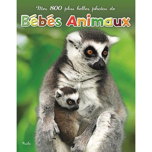 Mes 800 plus belles photos de bébés animaux