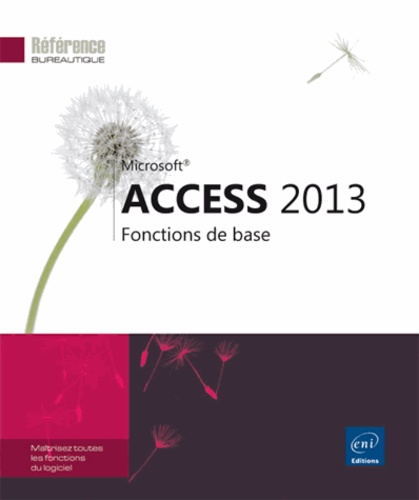 Access 2013  - Fonctions de base