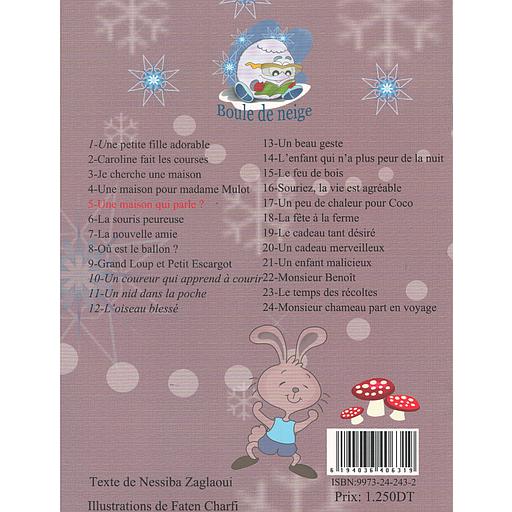 Collection Boule de neige1/24