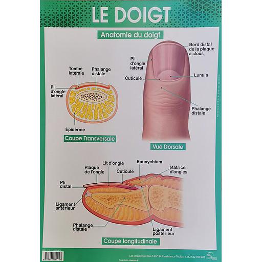 Poster "Le Doigt"