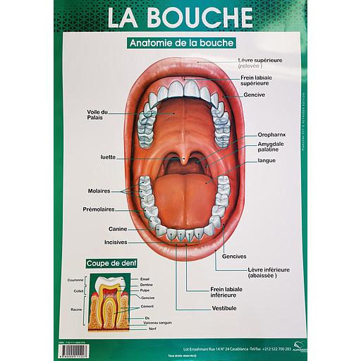 Poster "La bouche"