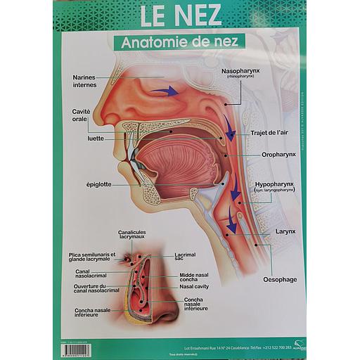 Poster "Le Nez"