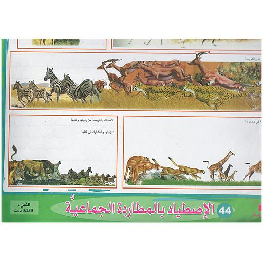 ملفات ورقية تعليمية الإصطياد بالمطاردة الجماعية + موضوع