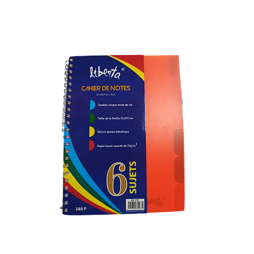 Registre Université 6 Sujets A4 288P 5*5