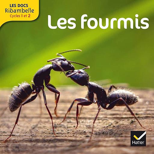 Les fourmis  - Grande section, CP, CE1 (Cycle 2)