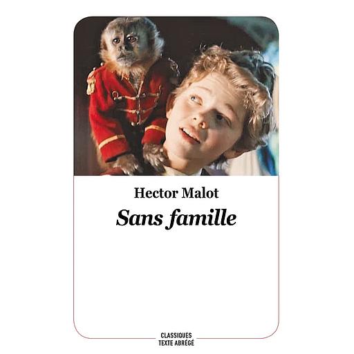 Sans Famille (Classiques Texte Abrégé)