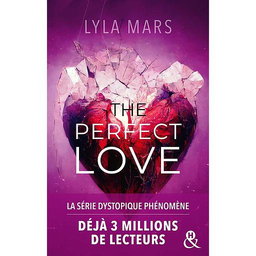 I'm Not Your Soulmate Tome 2 - The Perfect Love