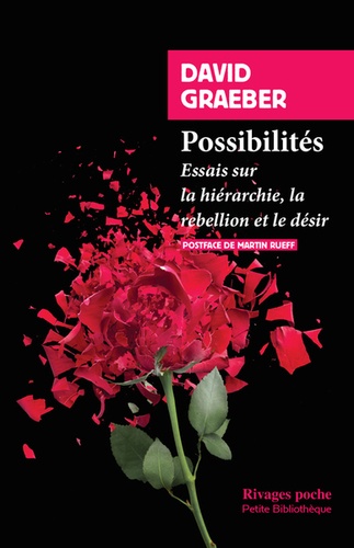 Possibilités  - Essais sur la hiérarchie, la rébellion et le désir