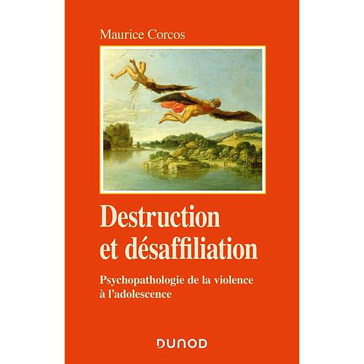 Destruction et désaffiliation  - Psychopathologie de la violence adolescente