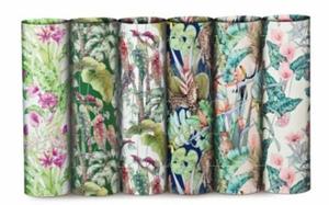 Papier Cadeau Jungle