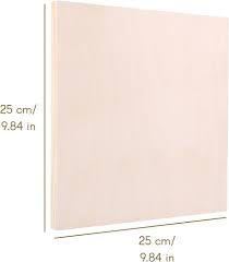 Planche Fine En Toile 25*25 CM pour Peinture 325G COTON