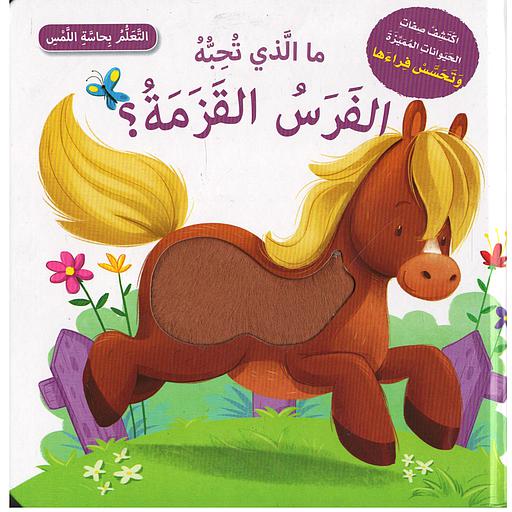 ما الذي يحبه الفرس القزمة