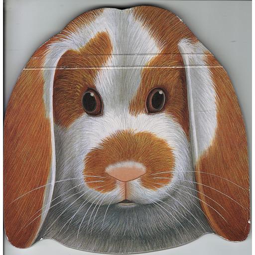 الأرنب بوبو